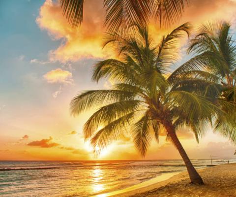 Barbados beach