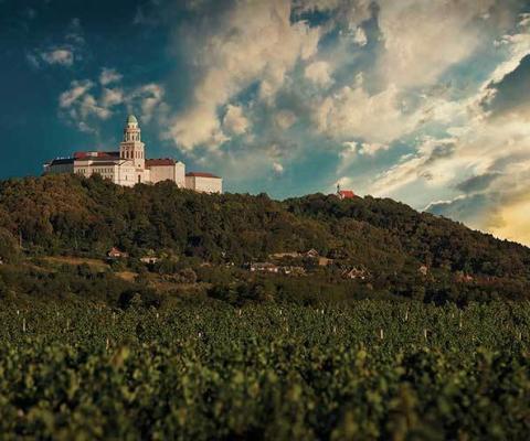 Pannonhalma Monastery and vineyards