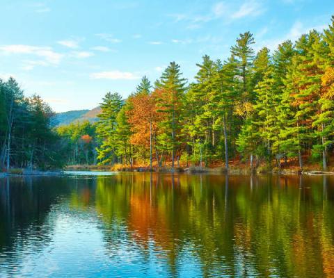 New Hampshire, New England, fall