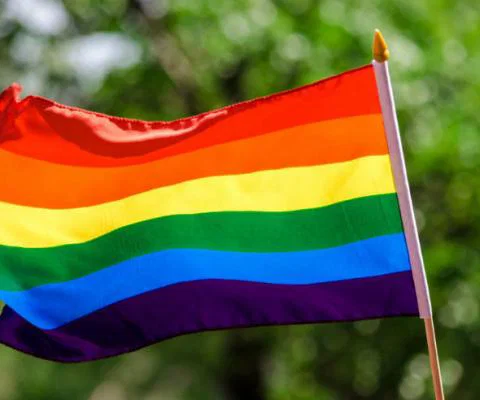 LGBT_flag.jpg