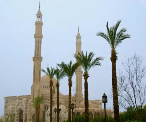 Sharm_el-Sheikh_ThinkstockPhotos-510382908.jpg