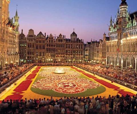 Brussels Flower Carpet