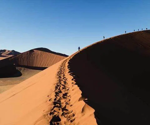 Explore-Climbing-Dune-45-1.jpg