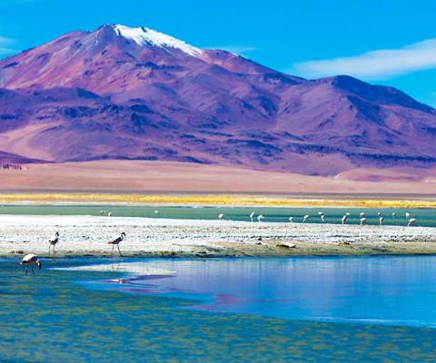 Atacama Desert Wendy Wu Tours.jpg