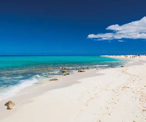 Fuerteventura beach