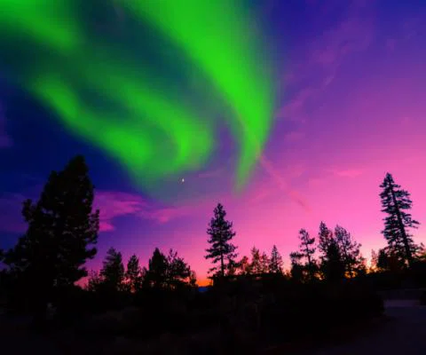 Northern Lights.jpg