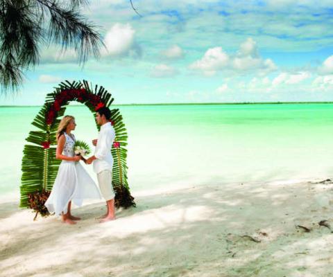 Wedding Tiamo resorts.jpg