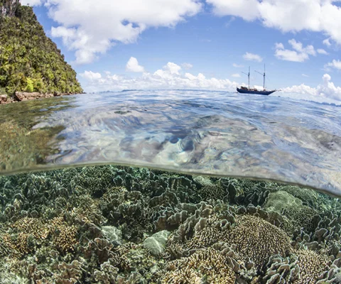 The industry's concern for the underwater environment is a concern, research found