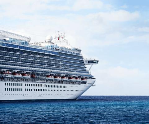 Caribbean_Princess_.jpg