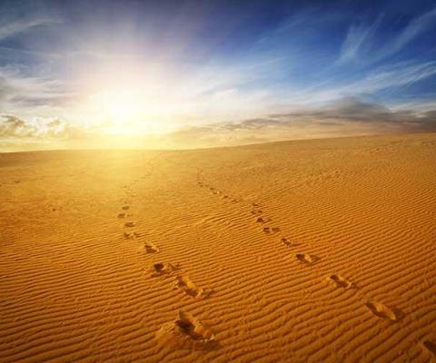 Footprints in a sand dune at sunset