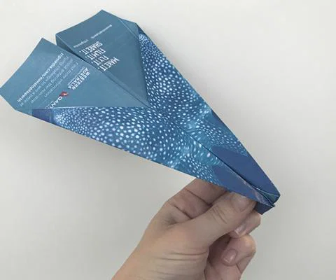Paper Plane Qantas TWA