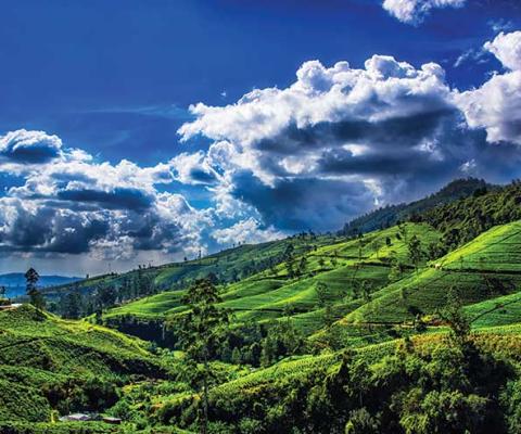 Sri Lanka