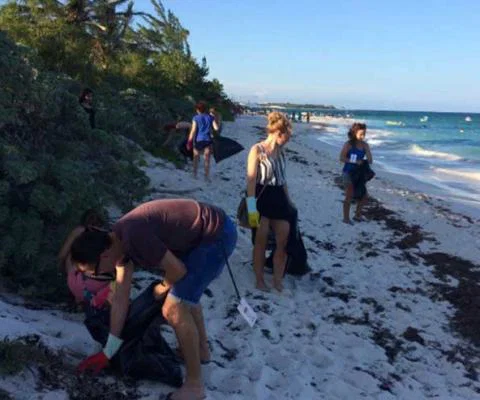 Thomas Cook volunteers help turtles on Xpuha beach