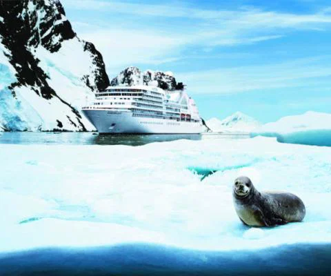 SEABOURN QUEST in Antartica with a seal.jpg