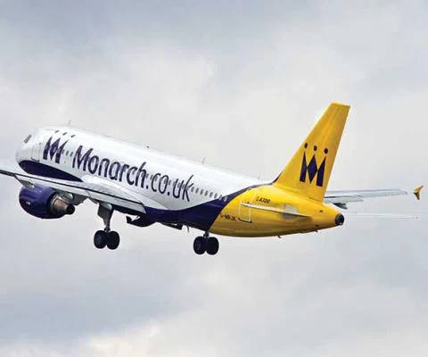 Monarch flies into the distance