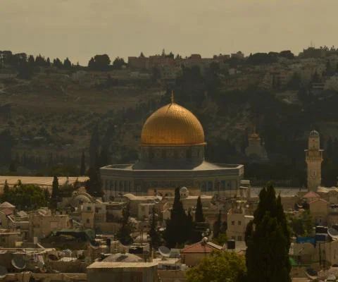 Palestine_WTM.jpg