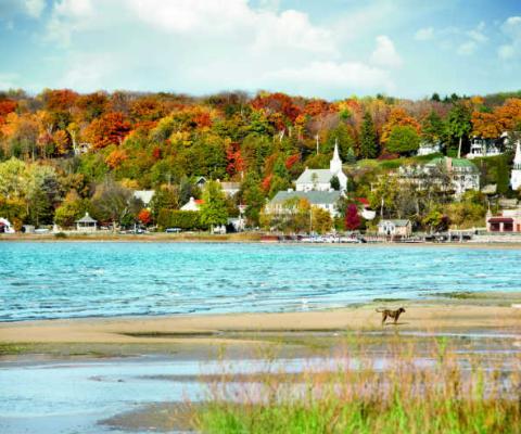 Scenic_harbor_shot_in_Door_County.jpg
