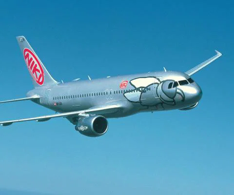 Niki_aircraft_IAG_bid.jpg