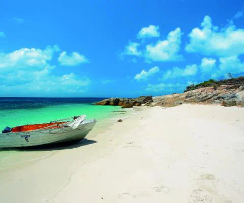 105670_LizardIsland.jpg