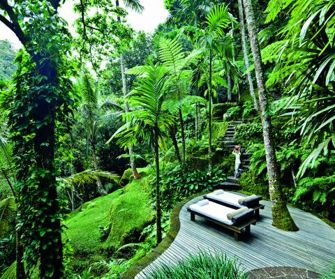 Water_Garden_Travel_Gallery.jpg