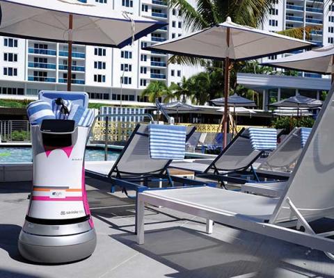 Poolside robot