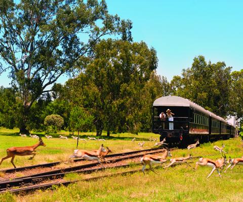 Rovos Rail.jpg