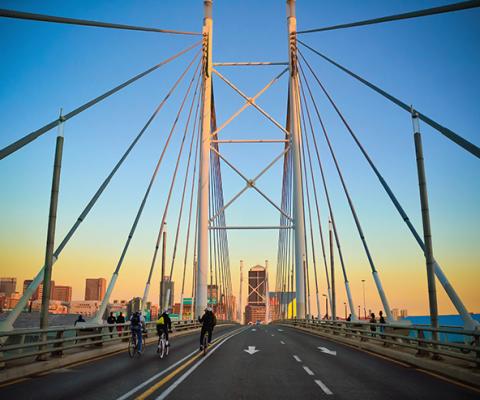 Johannesburg_Nelson_Mandela_bridge_ssimg_179_web.jpg