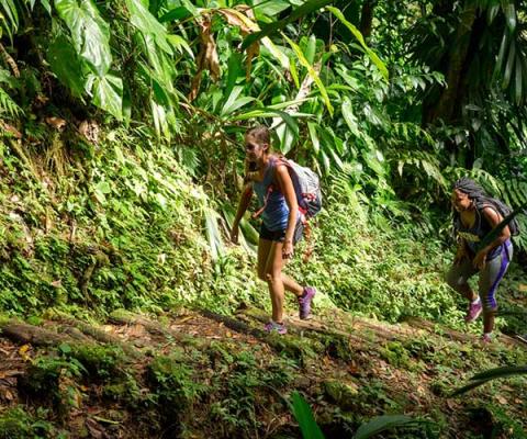 Waitukubuli National Trail, Dominica