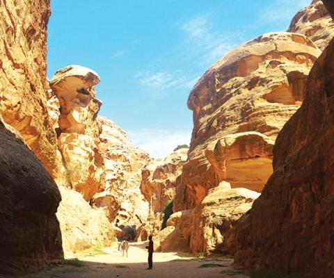 Jordan Trail, Petra