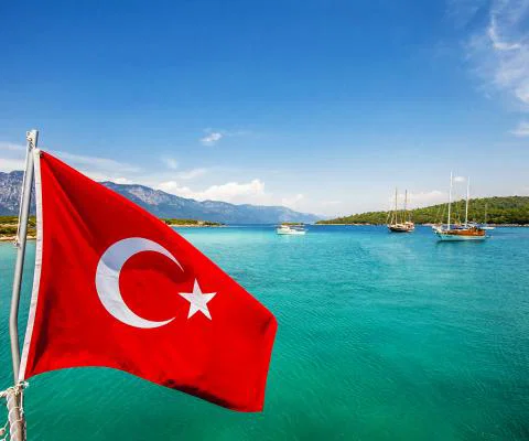 iStock-665931564.jpg