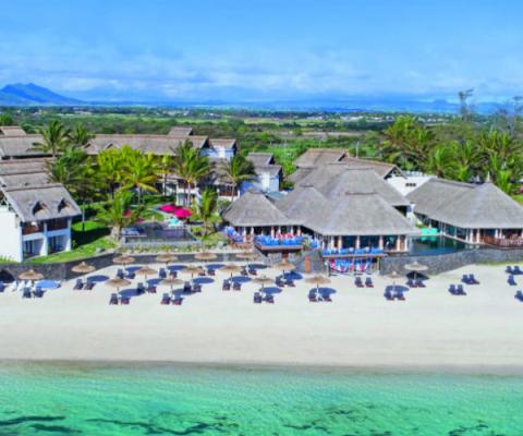C Palmar Mauritius.jpg