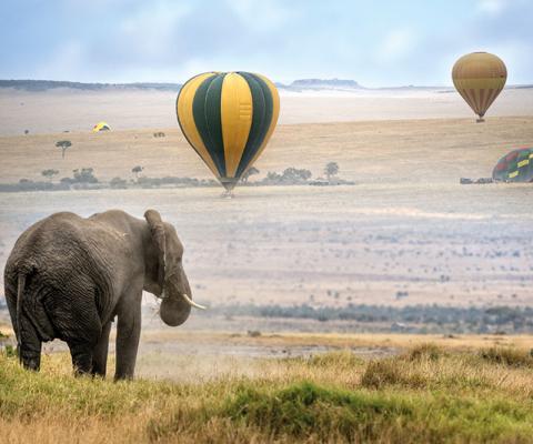 Balloon Safari Masai Mara.jpg