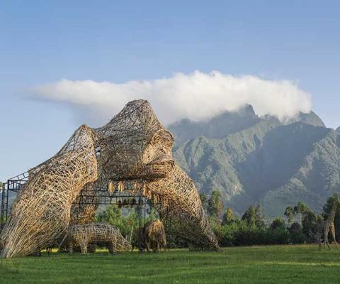 Visit Rwanda - Volcanoes National Park Ceremonial Platform