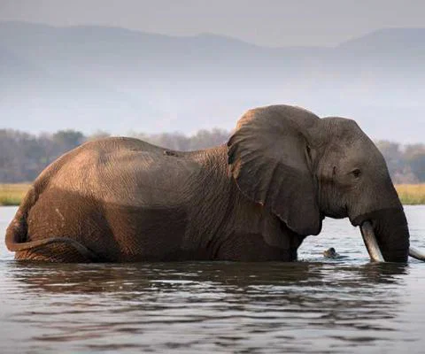The Zambezi river, Zimbabwe, which has been included in the Kuoni list