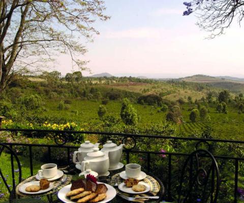 56A_TZ0_afternoonteavie_012001.jpg