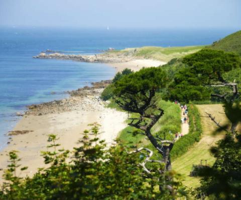 GTB_Herm_beach_2920_0.jpg