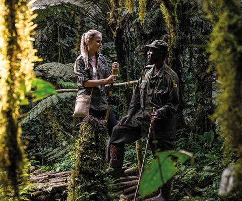 Pioneer jungle shot