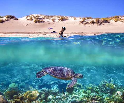 Ningaloo_Reef_-_HR_web.jpg