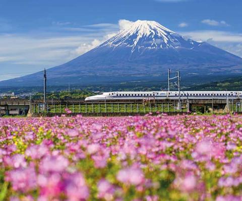 InsideJapan is now focusing on the Tokyo 2020 Olympic Games