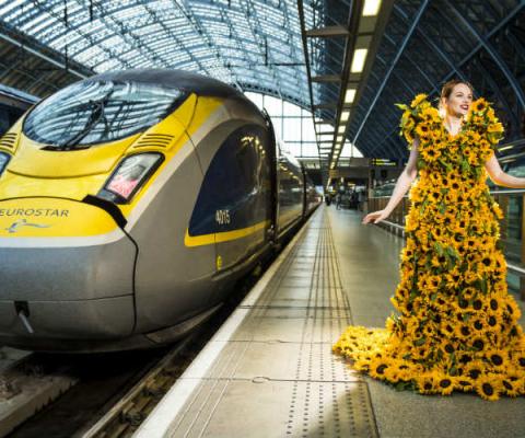 Eurostar Sunflowers