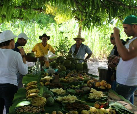 Thomas_Cook_Love_Local_experience_Cuba.jpg