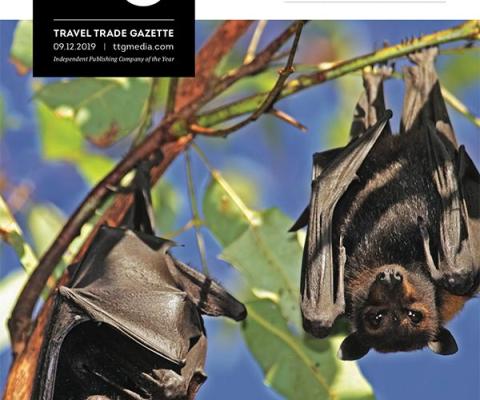 Magazine cover