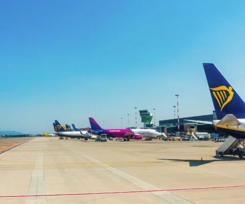 Ryanair and Wizz (pictured at Bergamo airport) have cut routes