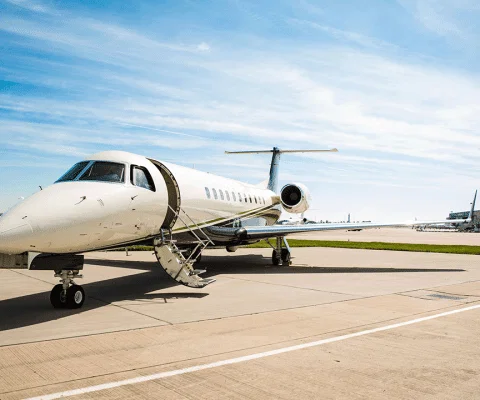 Legacy-600.gif