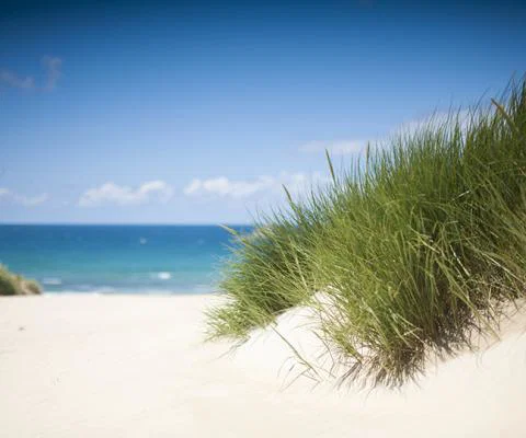 iStock-168415614.jpg
