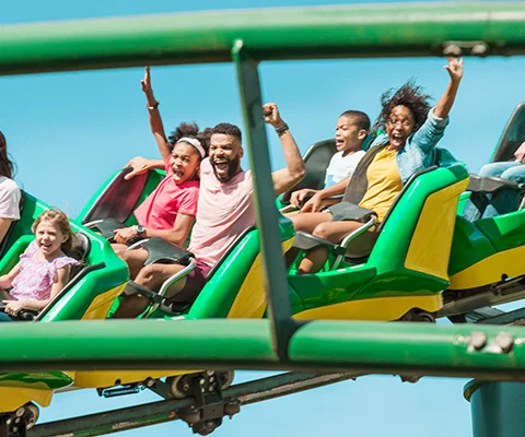 Florida_Fest_families.png