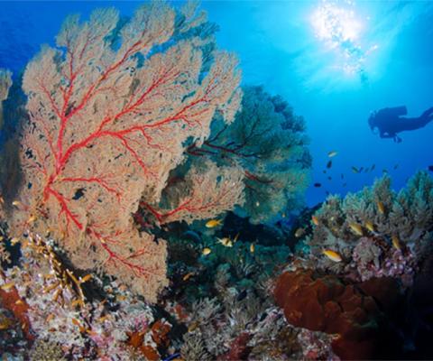 The Philippines wins two World Travel Awards