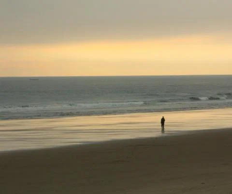 Demand for domestic breaks is soaring (Pictured: Bamburgh Castle Beach; Credit: Paul Levesley / Unsplash)