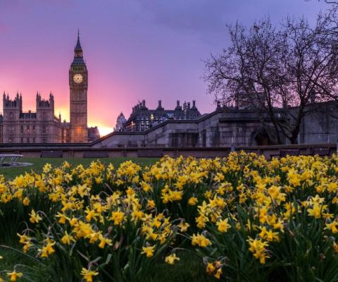 This year's spring Budget will have a very different focus to years gone by (Credit: Ming Jun Tun / Unsplash)