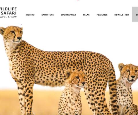 Wildlife and 'grown up' travel shows offer early bird rates for TTG+ members